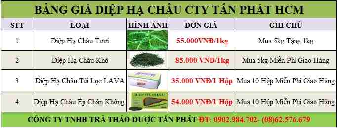 Địa chỉ mua bán diệp hạ châu tại Quảng Ninh tăng cường sức khỏe