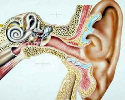 Những điều cần biết về viêm ống tai ngoài