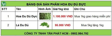 Bảng giá bán hoa đu đủ đực tại Phú Thọ tăng cường sức khoẻ